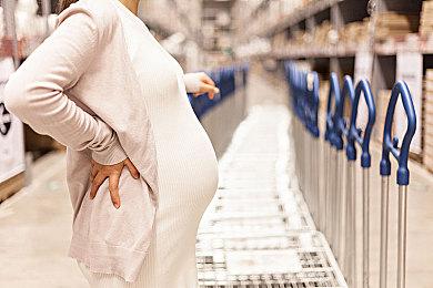 《史莱姆牧场2》新游戏截图 2022年发售加入XGP